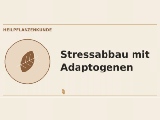 Stressabbau mit Adaptogenen – Heilpflanzen-Medaillon