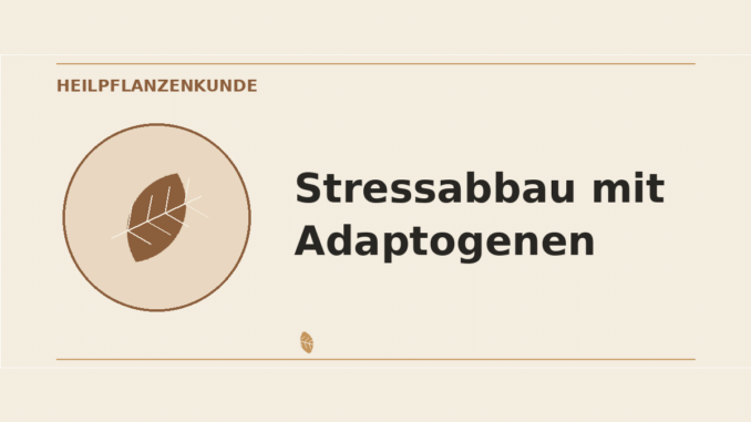 Stressabbau mit Adaptogenen – Heilpflanzen-Medaillon