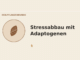 Stressabbau mit Adaptogenen – Heilpflanzen-Medaillon