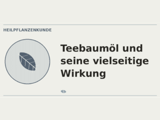 Teebaumöl vielseitige Wirkung – Heilpflanzen-Medaillon