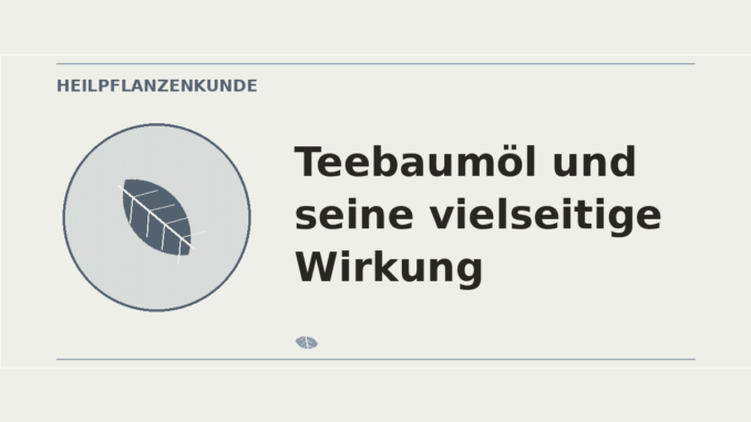 Teebaumöl vielseitige Wirkung – Heilpflanzen-Medaillon