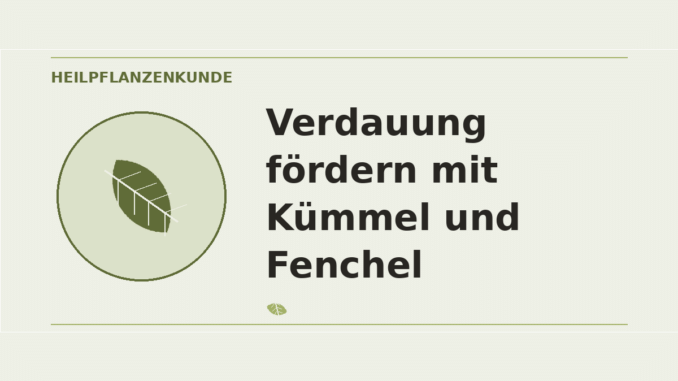 Verdauung fördern mit Kümmel und Fenchel – Heilpflanzen-Medaillon
