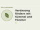 Verdauung fördern mit Kümmel und Fenchel – Heilpflanzen-Medaillon