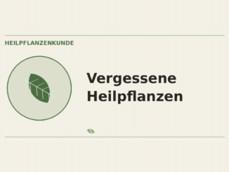 Vergessene Heilpflanzen – Heilpflanzen-Medaillon