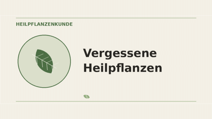 Vergessene Heilpflanzen – Heilpflanzen-Medaillon