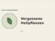Vergessene Heilpflanzen – Heilpflanzen-Medaillon