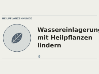 Wassereinlagerungen mit Heilpflanzen lindern – Heilpflanzen-Medaillon