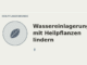 Wassereinlagerungen mit Heilpflanzen lindern – Heilpflanzen-Medaillon