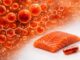 Astaxanthin: Das stärkste natürliche Antioxidans für deine Zellen