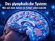 Das glymphatische System: Wie sich dein Gehirn im Schlaf selbst wäscht