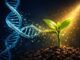Epigenetik: Warum deine DNA nicht dein Schicksal ist