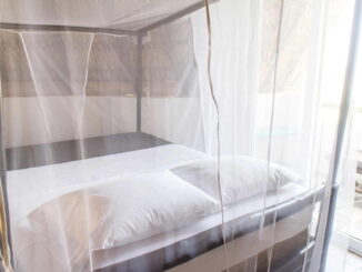 Moskitonetz bett