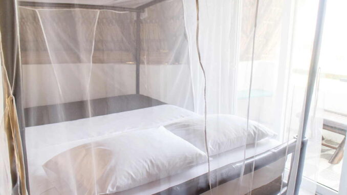 Moskitonetz bett