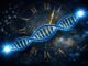 Telomere: Können wir die biologische Uhr zurückdrehen?
