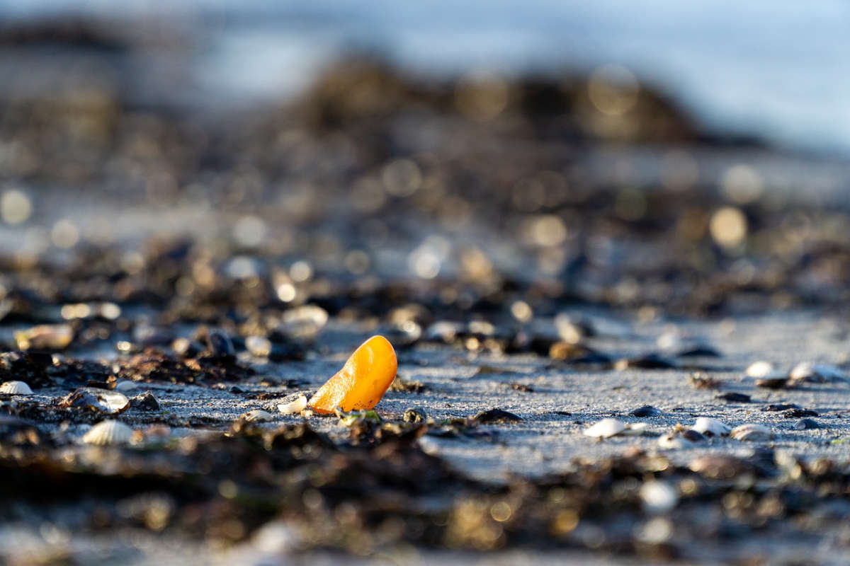 Ein orangefarbener Gegenstand ragt aus einem kiesigen Strand mit unscharfem Hintergrund heraus.