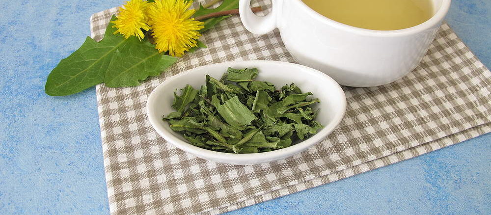 Wie traditionelle Heilmittel den modernen Darm unterstützen