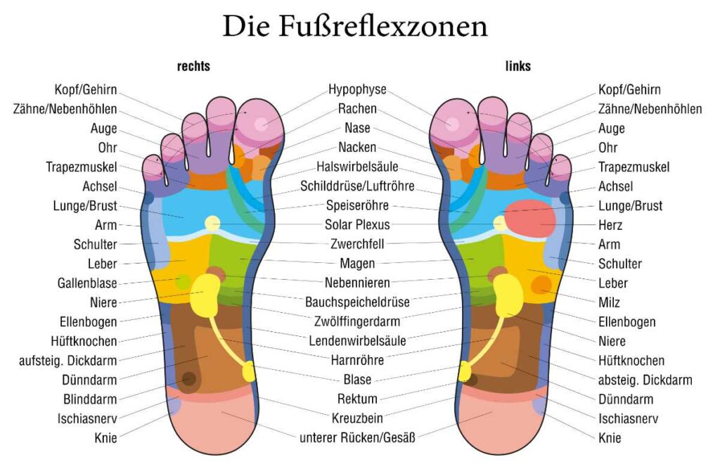 Das Bild zeigt ein farbiges Diagramm der Fußreflexzonen, das entsprechende Körperbereiche anzeigt, die durch Bereiche auf den linken und rechten Füßen verbunden sind.