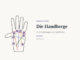 Handberge beim Handlesen: Venusberg, Mondberg und Co. gedeutet – Handdiagramm