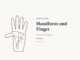 Handform und Finger beim Handlesen: Die vier Handtypen deuten – Handdiagramm