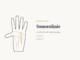 Sonnenlinie beim Handlesen: Bedeutung, Verlauf und Varianten – Handdiagramm