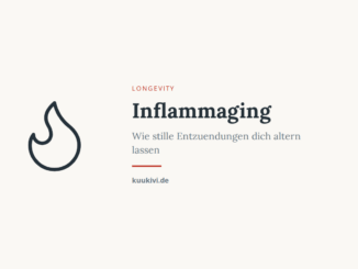 inflammaging stille entzuendung featured