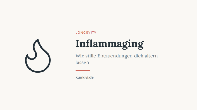 inflammaging stille entzuendung featured