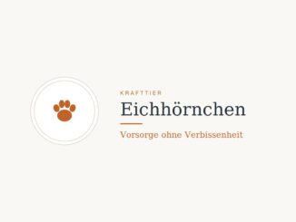 Krafttier Eichhörnchen: Bedeutung und Botschaft