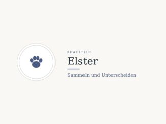 Krafttier Elster: Bedeutung und Botschaft