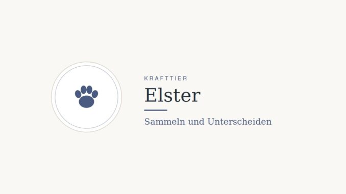 Krafttier Elster: Bedeutung und Botschaft