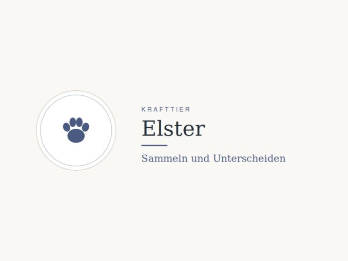 Krafttier Elster: Bedeutung und Botschaft