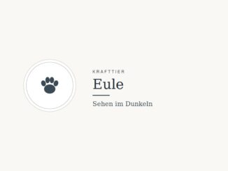 Krafttier Eule: Bedeutung und Botschaft