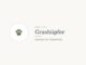 Krafttier Grashüpfer: Bedeutung und Botschaft