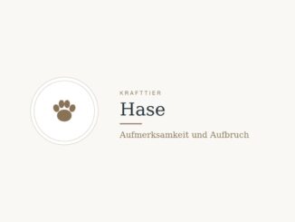 Krafttier Hase: Bedeutung und Botschaft