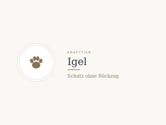 Krafttier Igel: Bedeutung und Botschaft