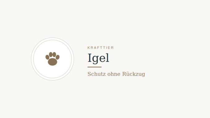 Krafttier Igel: Bedeutung und Botschaft