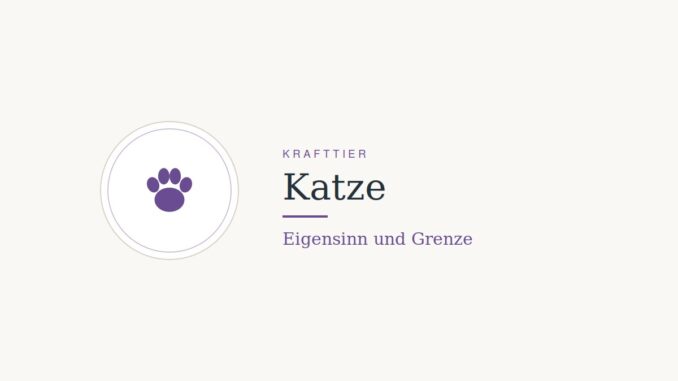 Krafttier Katze: Bedeutung und Botschaft