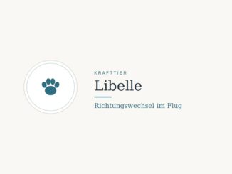 Krafttier Libelle: Bedeutung und Botschaft