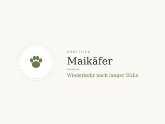 Krafttier Maikäfer: Bedeutung und Botschaft