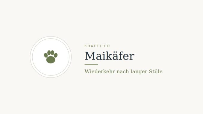 Krafttier Maikäfer: Bedeutung und Botschaft
