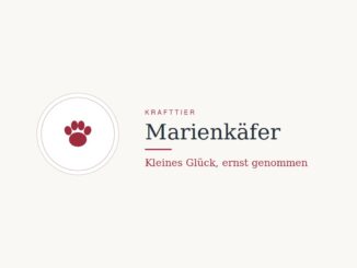 Krafttier Marienkäfer: Bedeutung und Botschaft