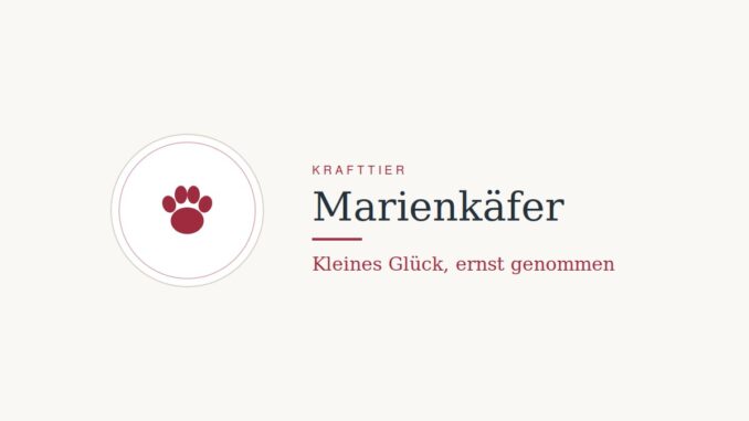 Krafttier Marienkäfer: Bedeutung und Botschaft
