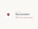 Krafttier Marienkäfer: Bedeutung und Botschaft