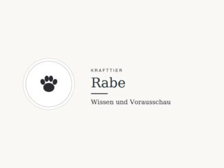 Krafttier Rabe: Bedeutung und Botschaft