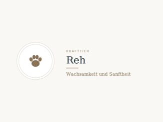 Krafttier Reh: Bedeutung und Botschaft