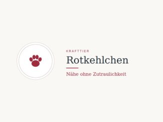 Krafttier Rotkehlchen: Bedeutung und Botschaft
