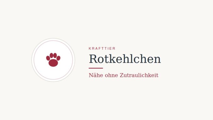 Krafttier Rotkehlchen: Bedeutung und Botschaft