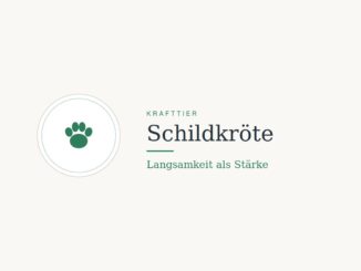 Krafttier Schildkröte: Bedeutung und Botschaft