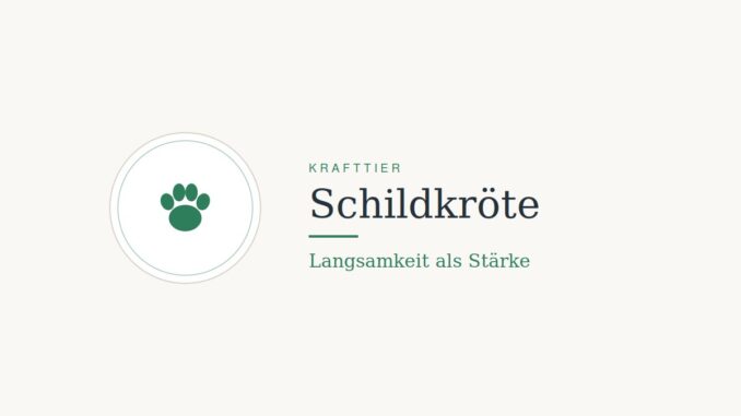 Krafttier Schildkröte: Bedeutung und Botschaft