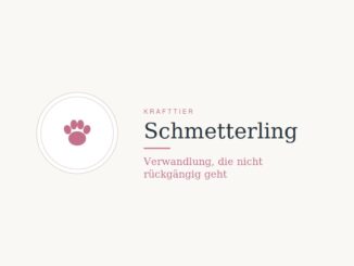 Krafttier Schmetterling: Bedeutung und Botschaft