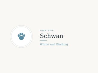 Krafttier Schwan: Bedeutung und Botschaft